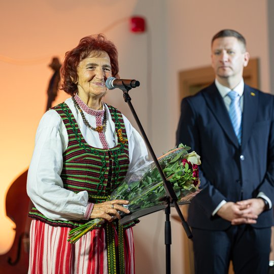 Iliustracija