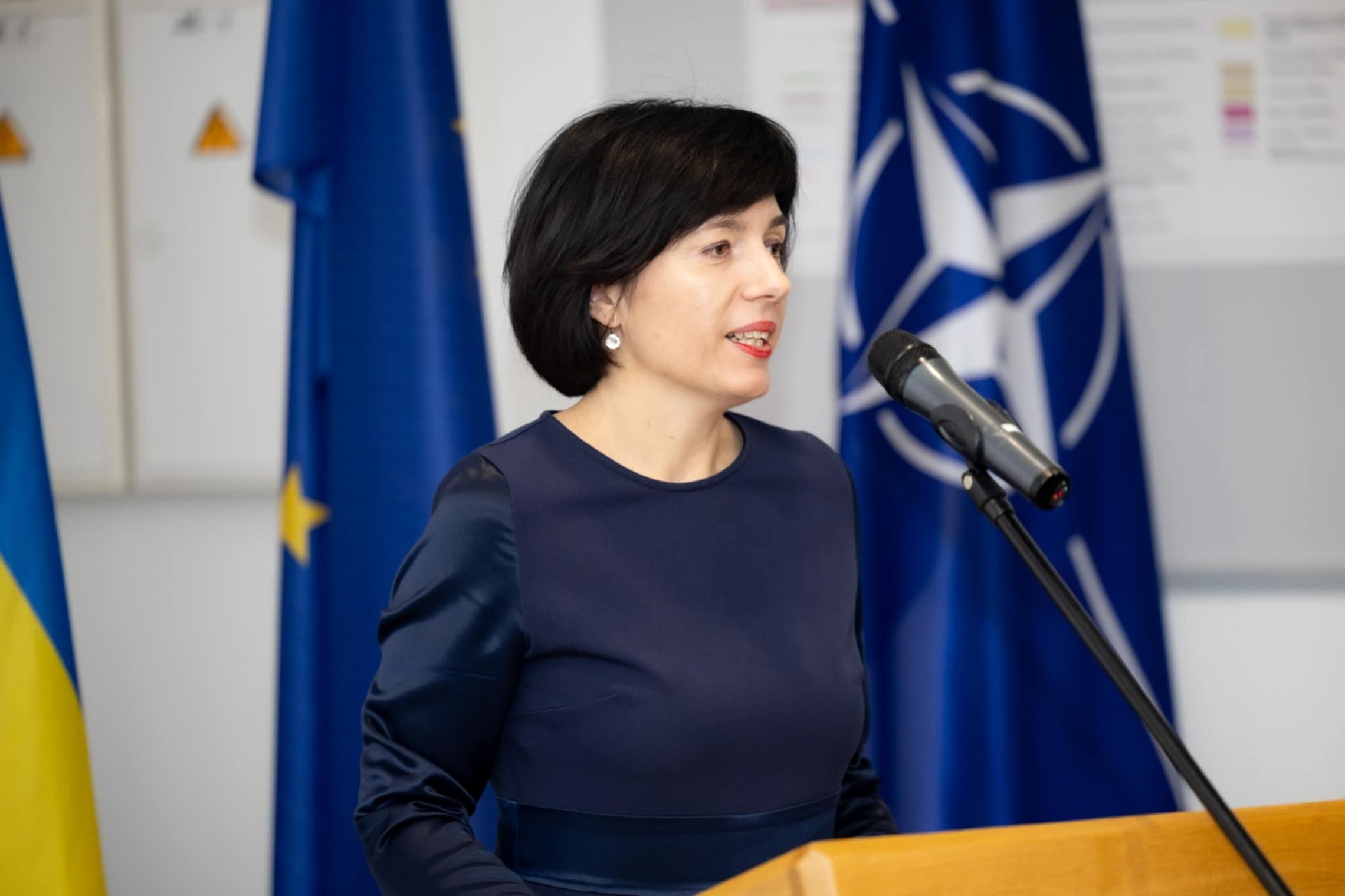 Iliustracija