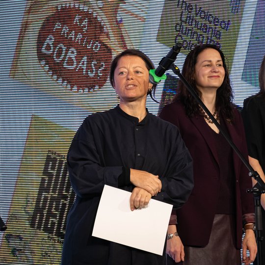 Iliustracija