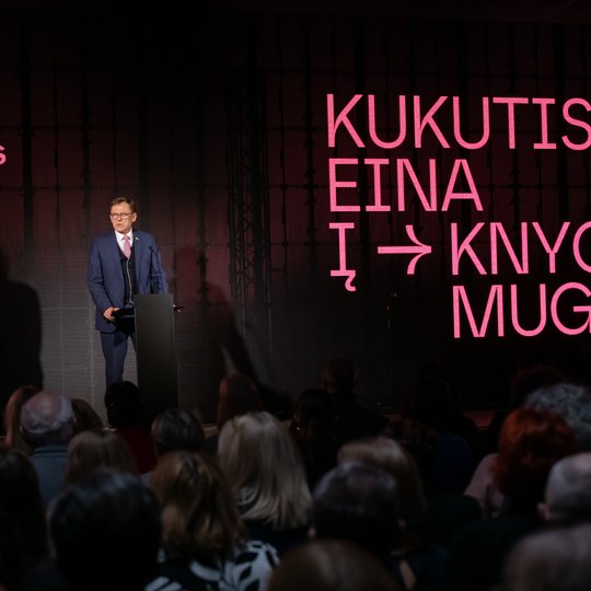 Iliustracija