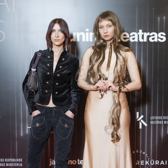 Iliustracija