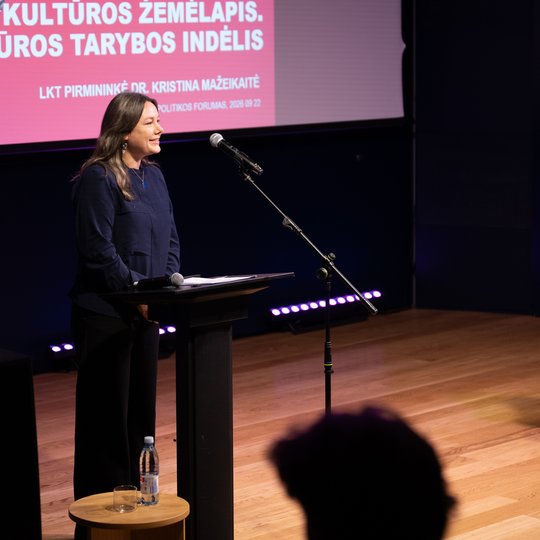 Iliustracija